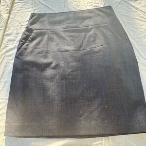 Elegant Gray Women's Skirt